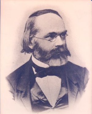 Nägeli, Carl Wilhelm von