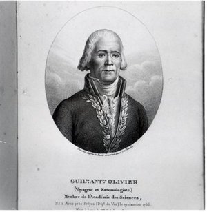Olivier, Guillaume Antoine
