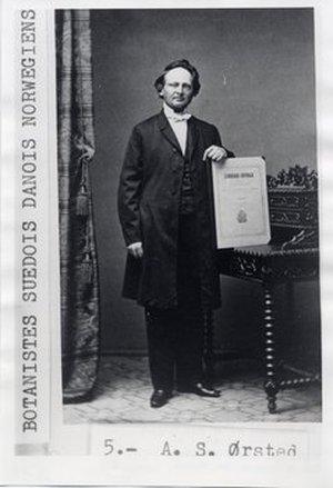 Ørsted, Anders Sandøe