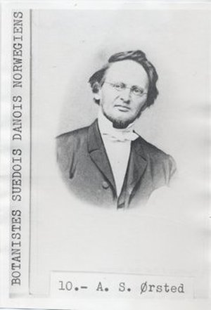 Ørsted, Anders Sandøe