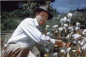 Ownbey, Francis Marion