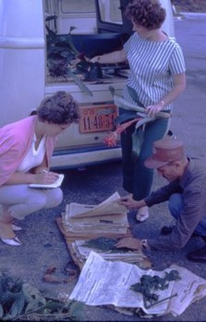 Pabst, Guido Frederico João