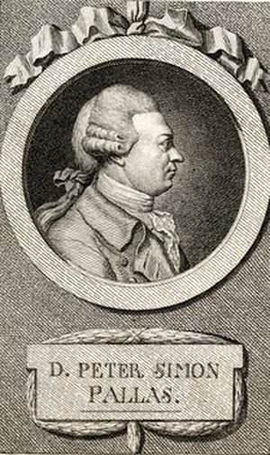 Pallas, Peter Simon
