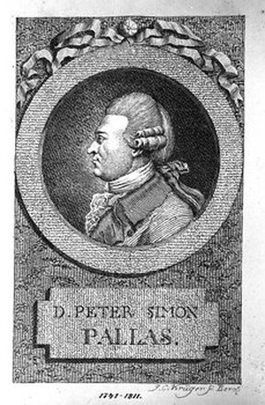 Pallas, Peter Simon