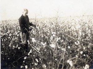 Palmer, Ernest Jesse