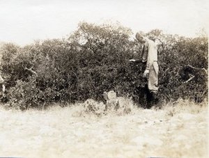 Palmer, Ernest Jesse