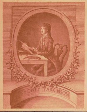 Parkinson, Sydney