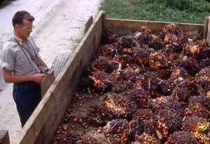 Perdue, Robert Edward, Jr