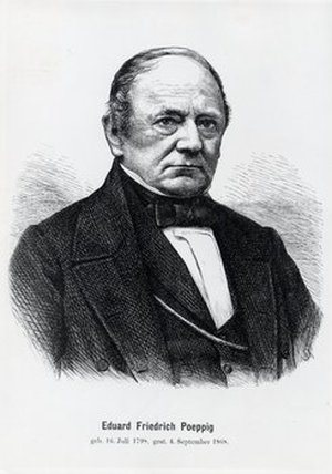 Poeppig [Pöppig], Eduard Friedrich