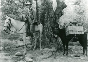 Popenoe, Frederick Wilson