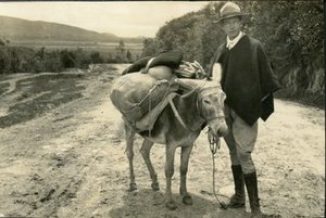 Popenoe, Frederick Wilson