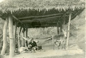 Popenoe, Frederick Wilson