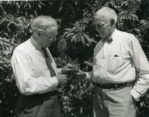 Popenoe, Frederick Wilson