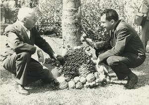 Popenoe, Frederick Wilson