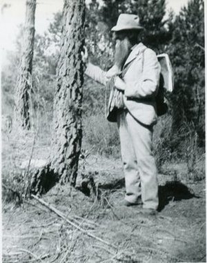 Pringle, Cyrus Guernsey