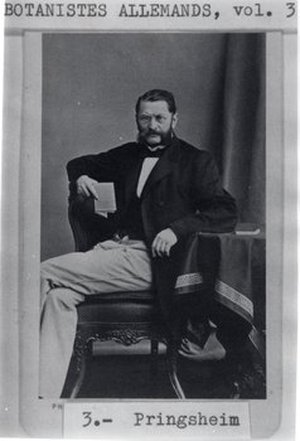 Pringsheim, Nathanael