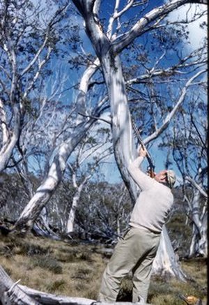 Pryor, Lindsay Dixon