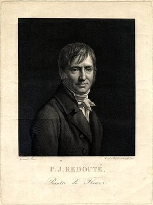 Redoute, Pierre-Joseph