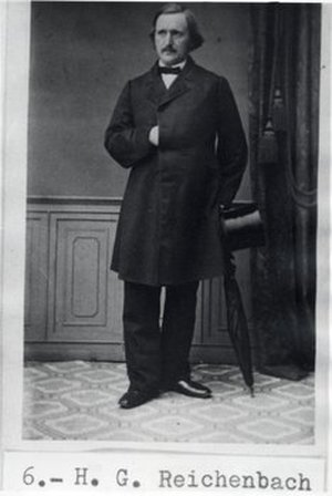 Reichenbach, Heinrich Gustav