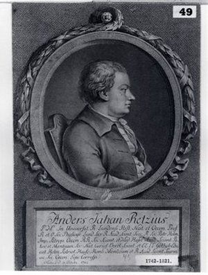 Retzius, Anders Jahan