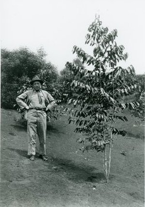 Rock , Joseph Francis Charles