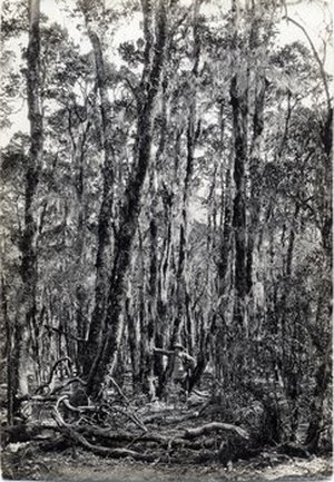 Rock , Joseph Francis Charles