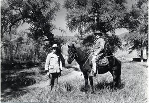 Rock , Joseph Francis Charles