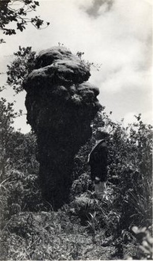 Rock , Joseph Francis Charles