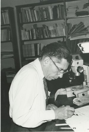 Rodríguez Caballero, Rafael Lucas