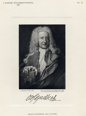 Rudbeck, Olof Olaus], [the younger