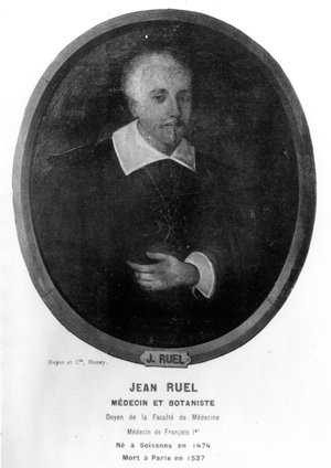 Ruel, Jean