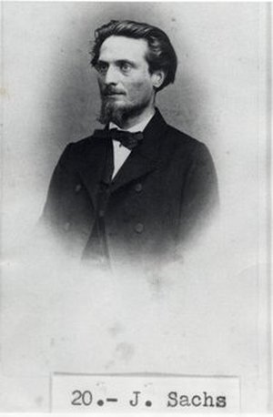 Sachs, Julius von