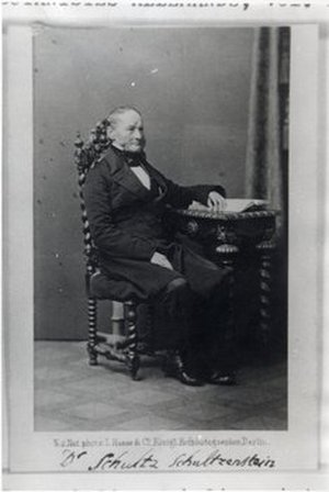 Schultz-Schultzenstein, Karl Heinrich