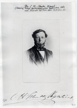 Schultz, Karl Heinrich