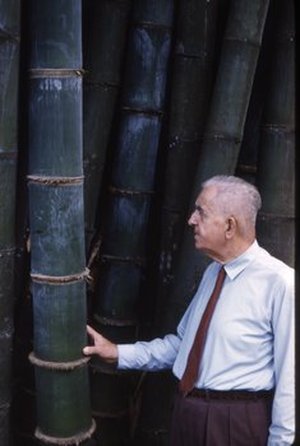 Schuurman, Jan Albert