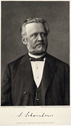 Schwendener, Simon