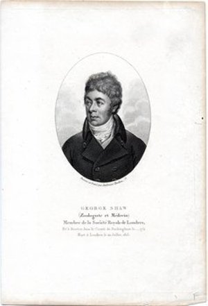 Shaw, George