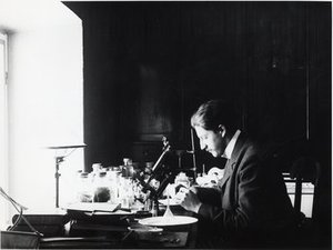 Skottsberg, Carl Johan Fredrik