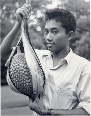 Soegeng-Reksodihardjo, Wertit