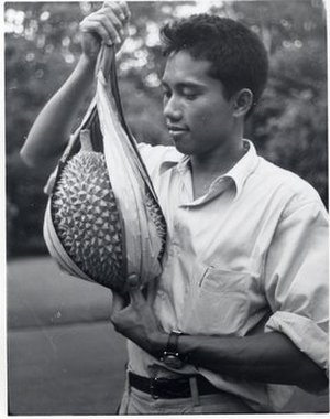 Soegeng-Reksodihardjo, Wertit