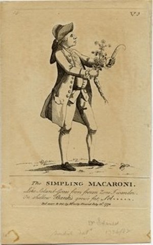 Solander, Daniel Carl