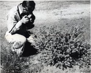 Spalding, George Howard