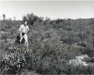 Spalding, George Howard