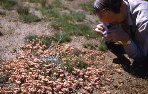 Spalding, George Howard