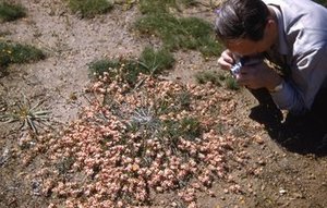 Spalding, George Howard