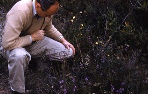 Spalding, George Howard