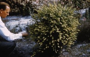 Spalding, George Howard