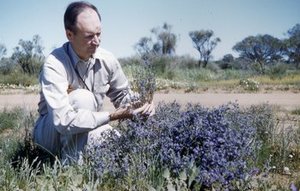 Spalding, George Howard