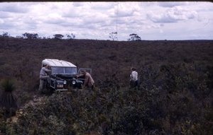 Spalding, George Howard