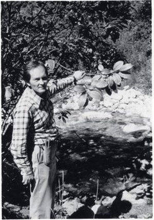 Spongberg, Stephen A.